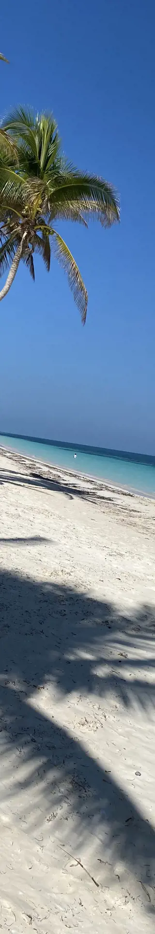 Tagesausflug nach Cayo Levisa